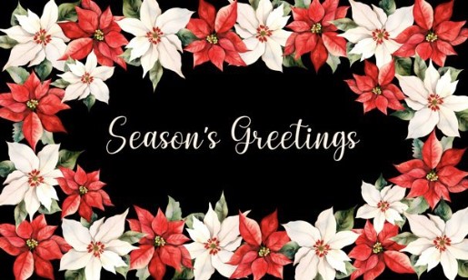 Xmas Poinsettia Greeting Chenille Rug 27x45