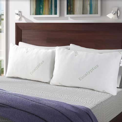 Eucalyptus Memory Foam Pillow 20"X28"