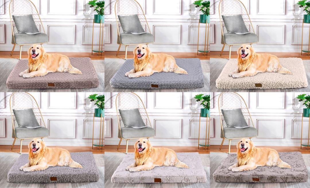 Orthopedic Ped Bed 22"x30" Assorted