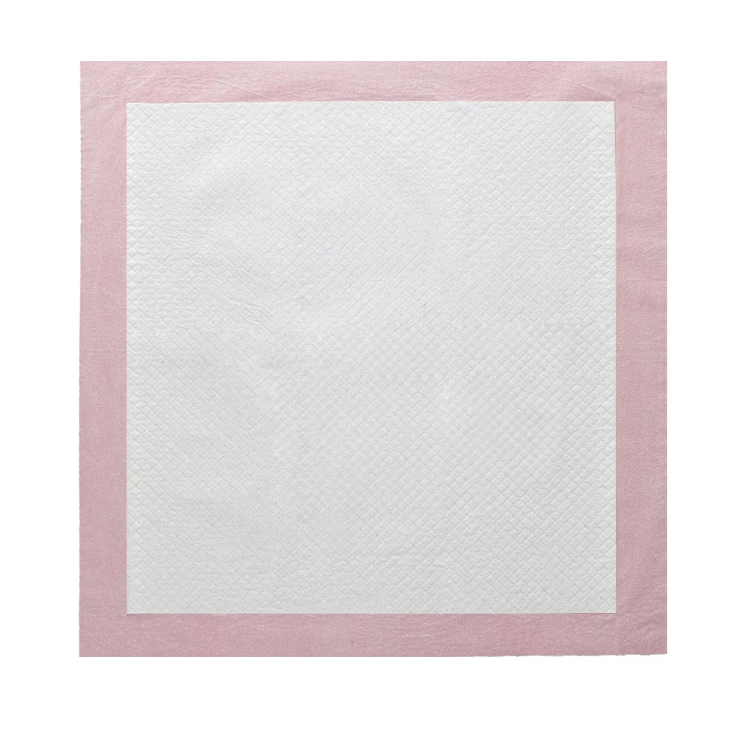 Puppy Training Pads 22"/23" 100CT Fuchsia